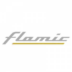 Логотип Flamic
