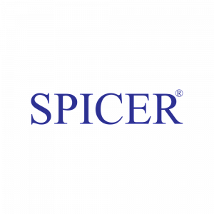 Логотип Spicer